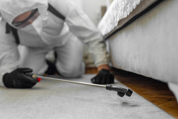 Professional Bed Bug Control technician working in Darlington County County, SC